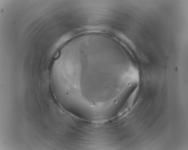 X0000076381411200610202028