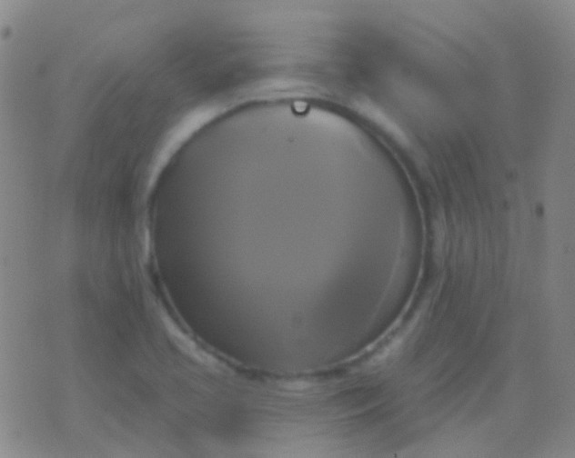 X0000076381413200610202028