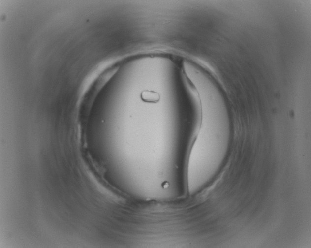 X0000076381414200610202028