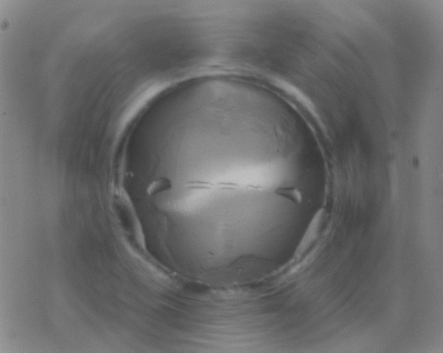 X0000076381415200610202028