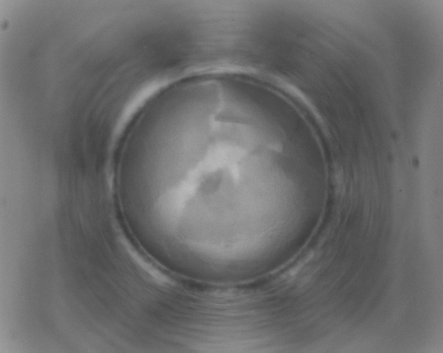 X0000076381416200610202028