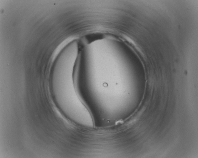 X0000076381418200610202028