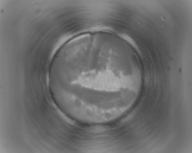 X0000076381420200610202028