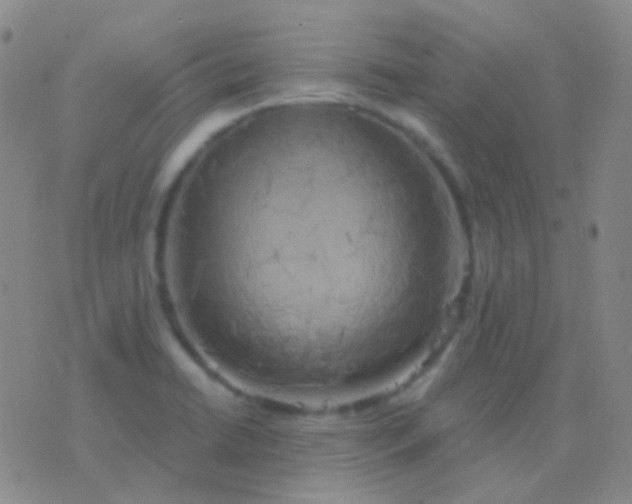 X0000076381422200610202028