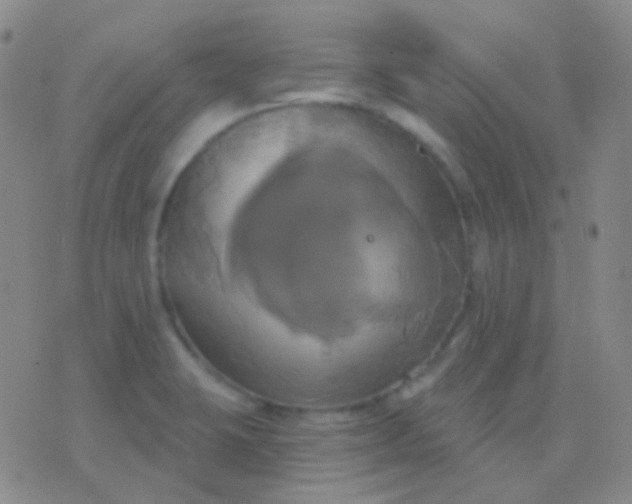 X0000076381423200610202028