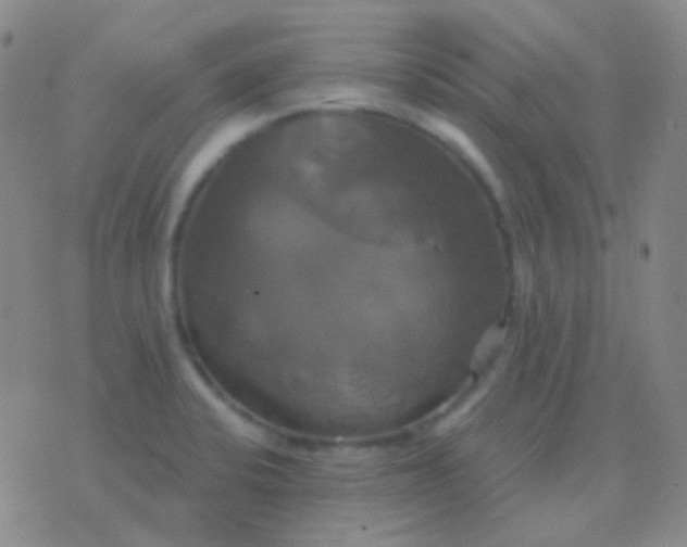 X0000076381424200610202028