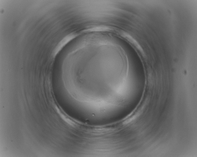 X0000076381425200610202028