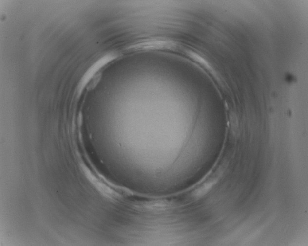 X0000076381426200610202028