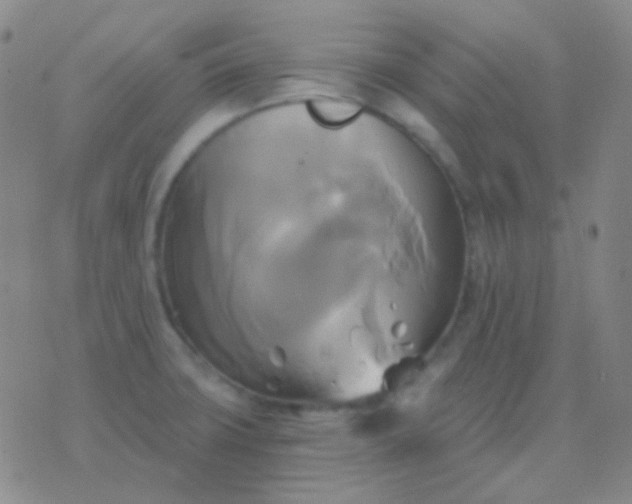 X0000076381427200610202028