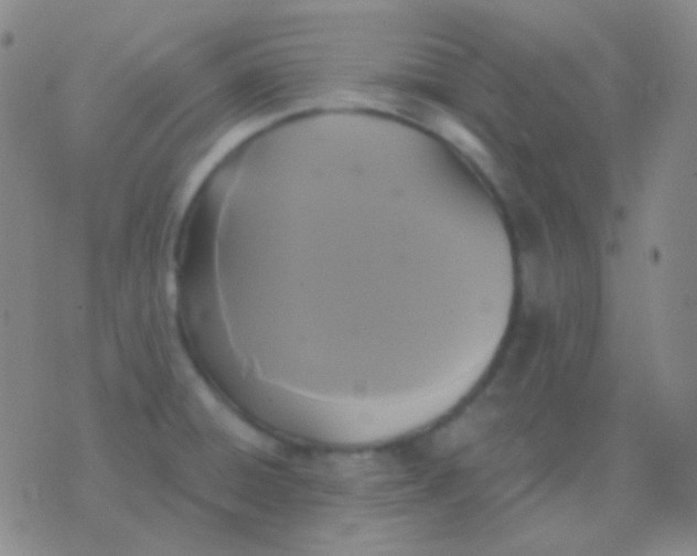 X0000076381428200610202028