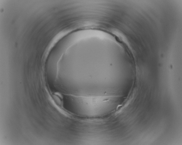 X0000076381429200610202028