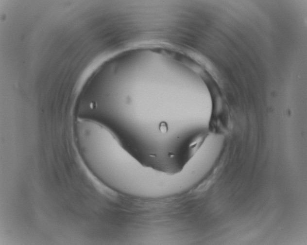 X0000076381430200610202028