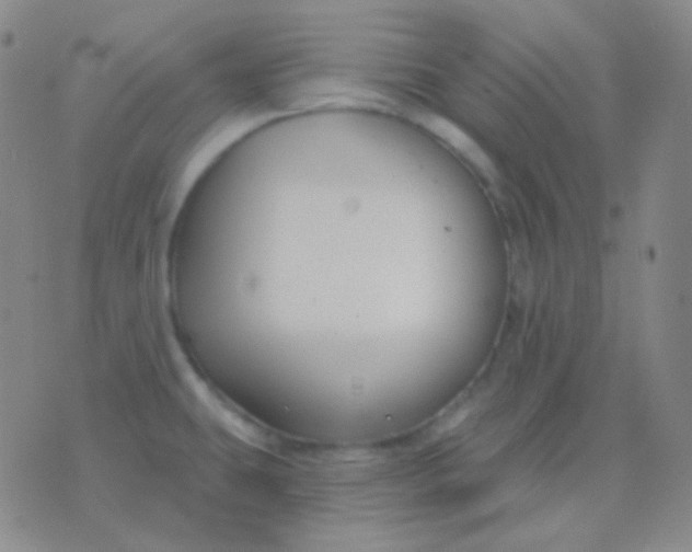 X0000076381431200610202028