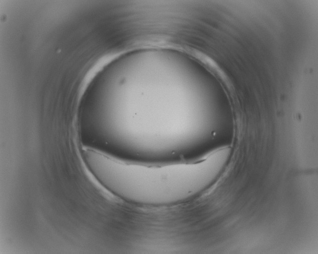 X0000076381432200610202028