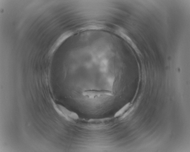 X0000076381433200610202028