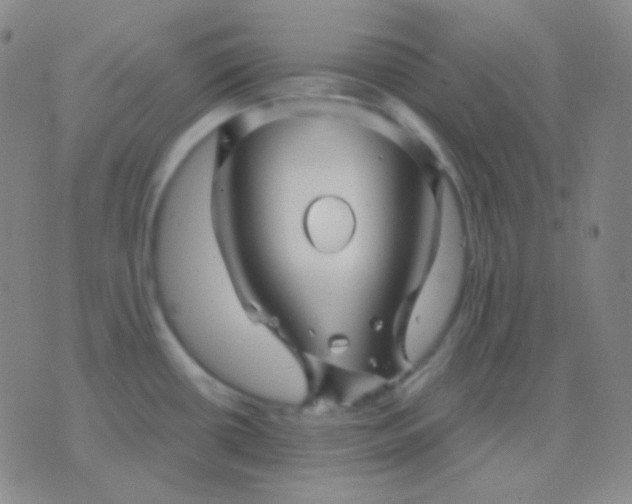 X0000076381434200610202028