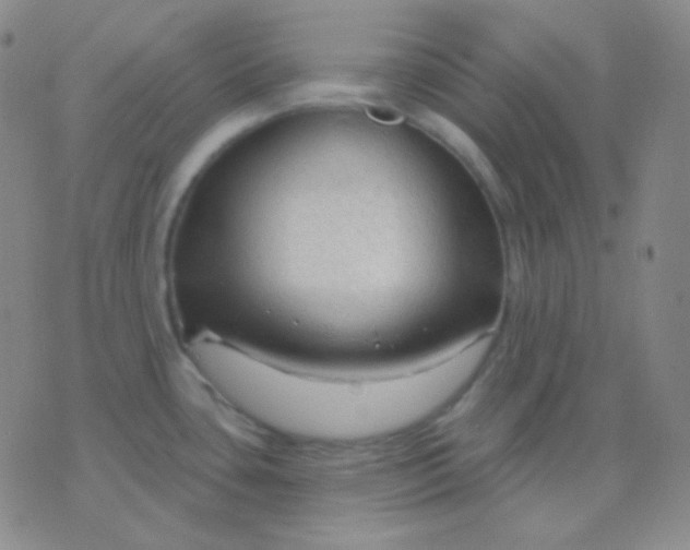 X0000076381435200610202028