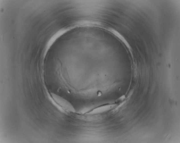 X0000076381437200610202028