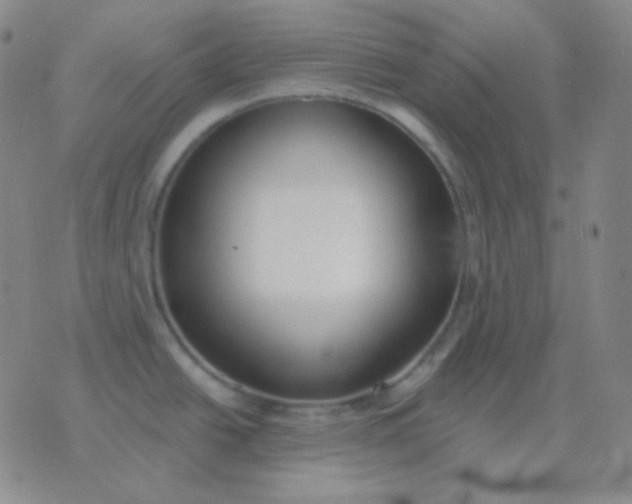 X0000076381438200610202028