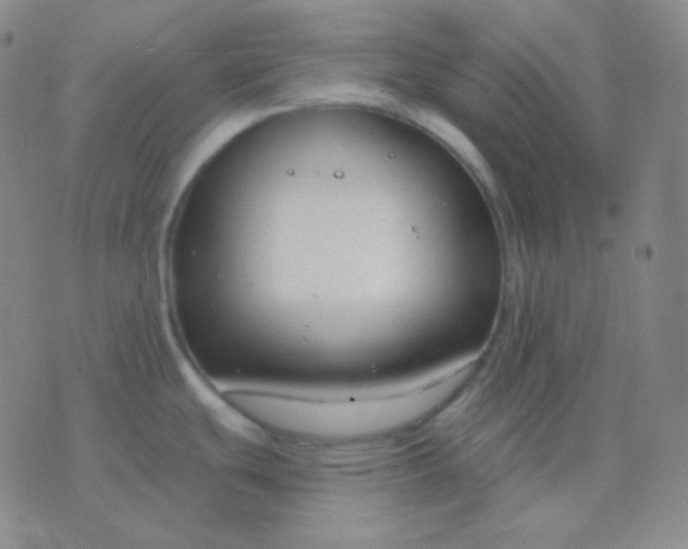 X0000076381439200610202028