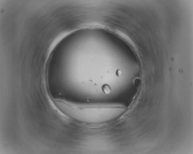 X0000076381440200610202028