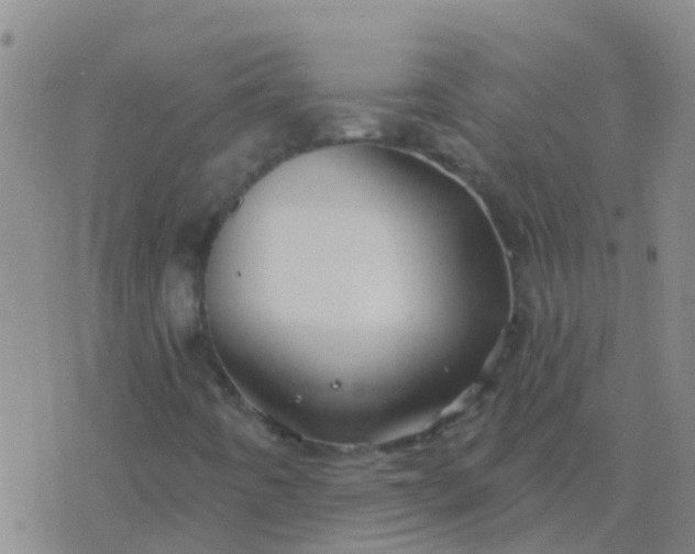 X0000076381442200610202027