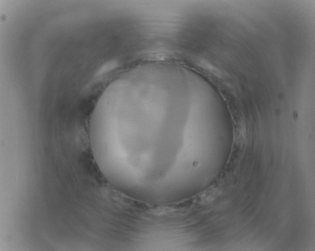 X0000076381446200610202027