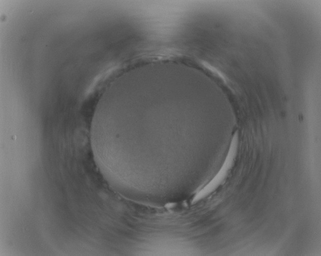 X0000076381447200610202027