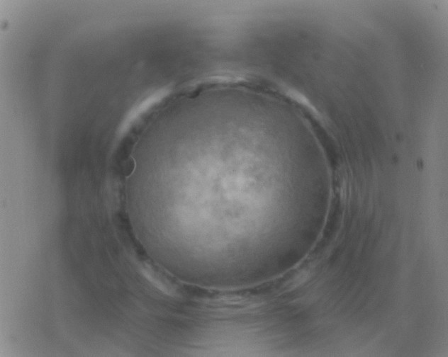 X0000076381448200610202027