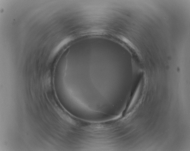 X0000076381450200610202027