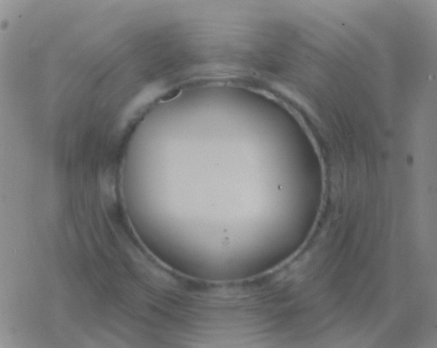 X0000076381451200610202027