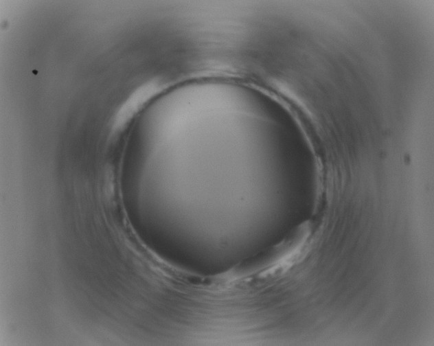 X0000076381455200610202027