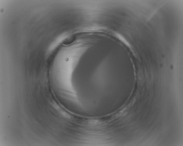 X0000076381456200610202027