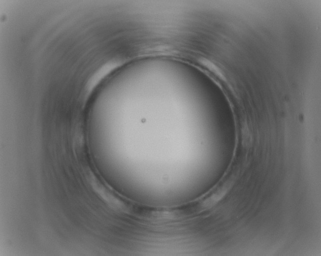 X0000076381458200610202027