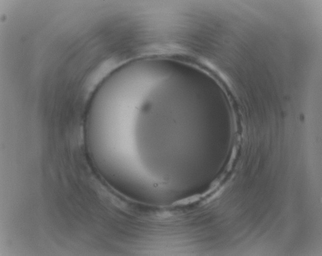 X0000076381459200610202027