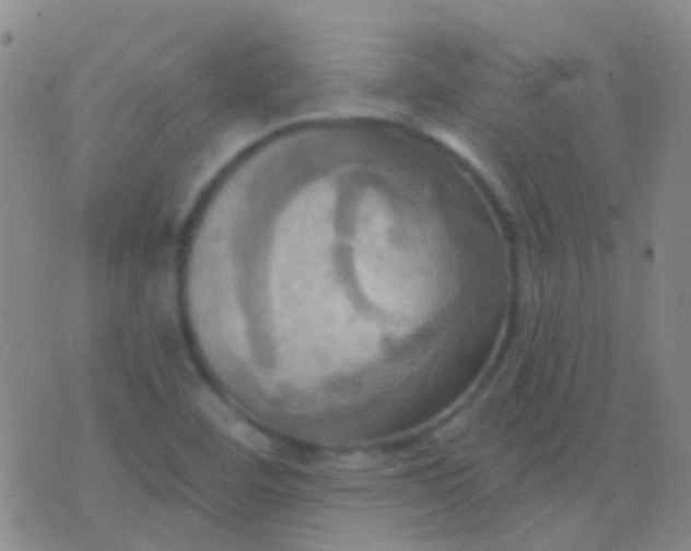 X0000076381460200610202027