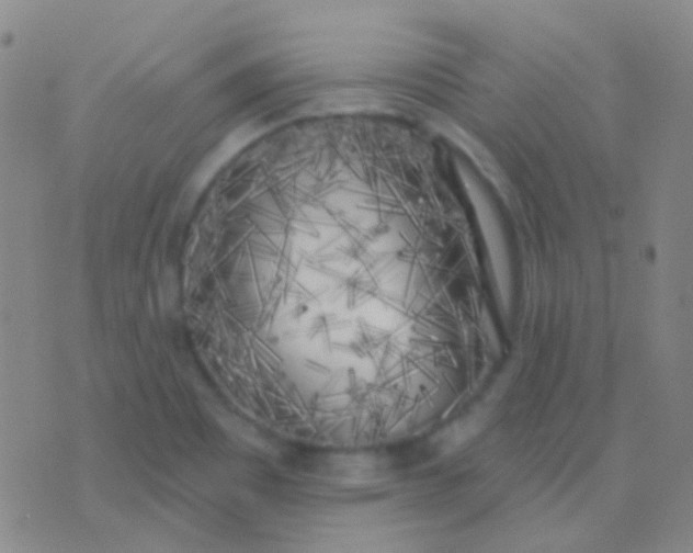 X0000076381465200610202027