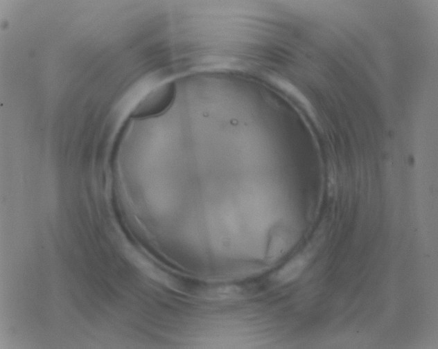 X0000076381467200610202027