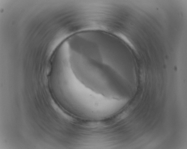 X0000076381468200610202027