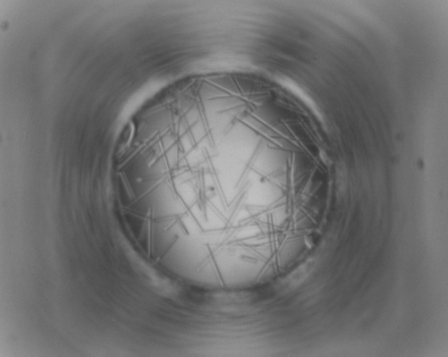 X0000076381469200610202027