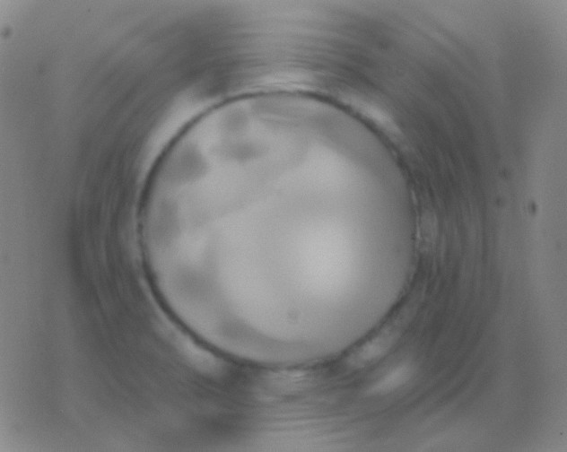 X0000076381470200610202027