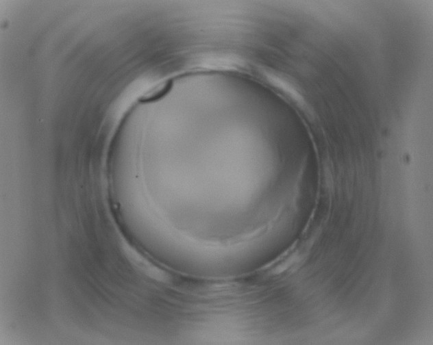 X0000076381471200610202027