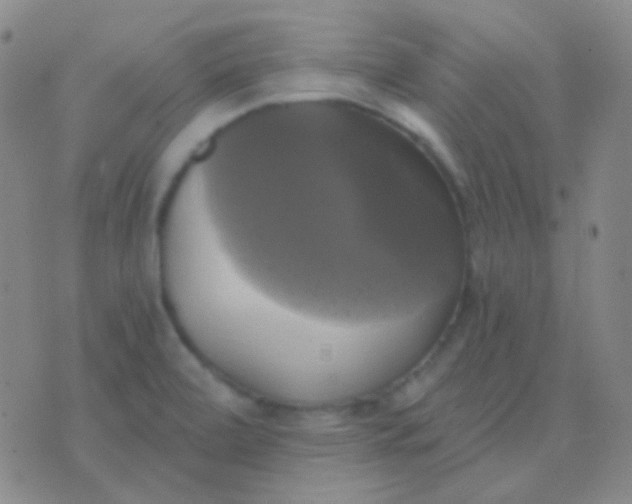 X0000076381472200610202027