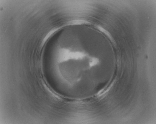 X0000076381473200610202027