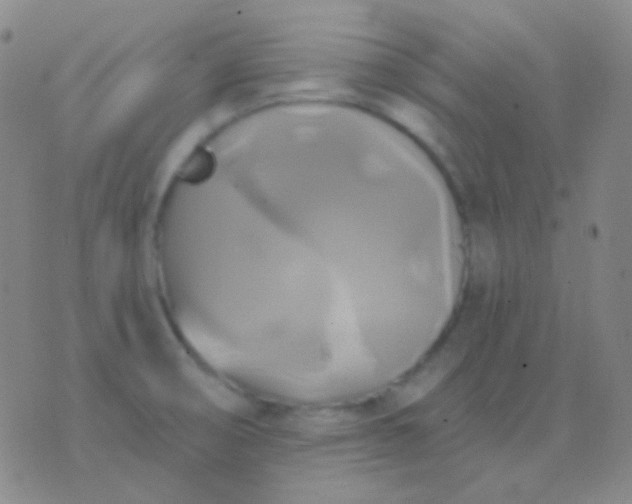 X0000076381474200610202027