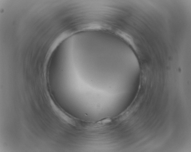 X0000076381475200610202027