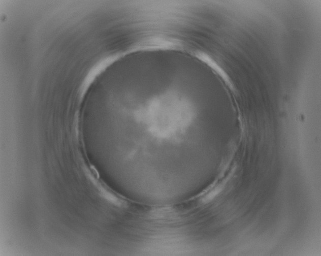 X0000076381477200610202027