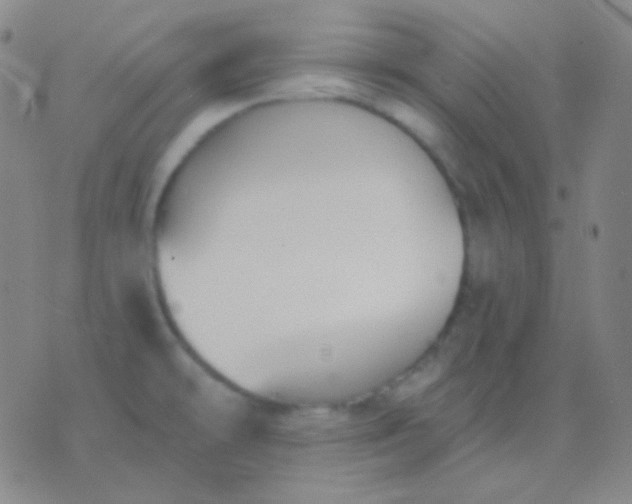 X0000076381478200610202027