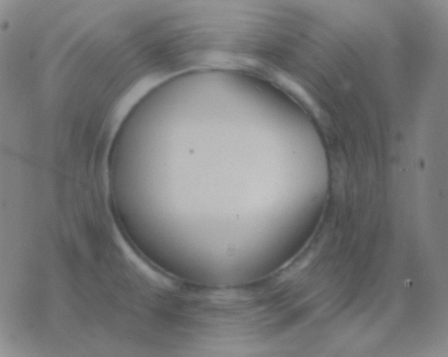 X0000076381479200610202027