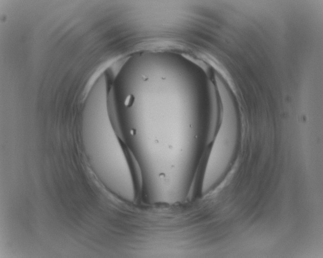 X0000076381481200610202027